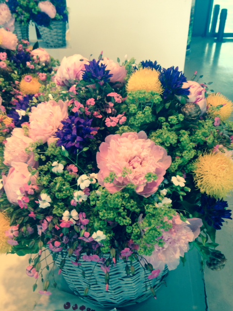 Cut Flowers